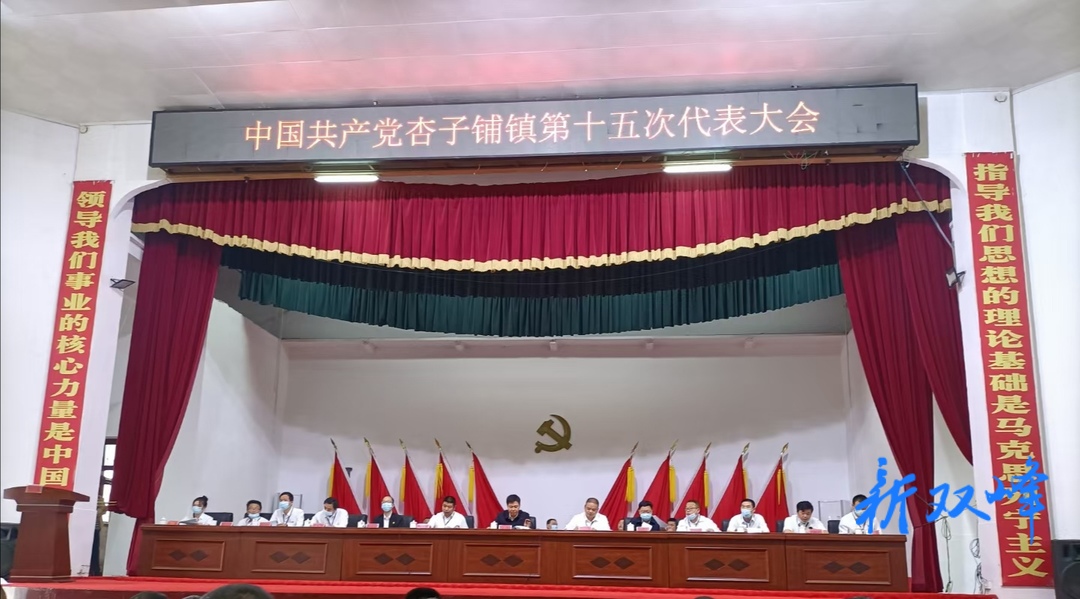 中国共产党杏子铺镇第十五次代表大会召开