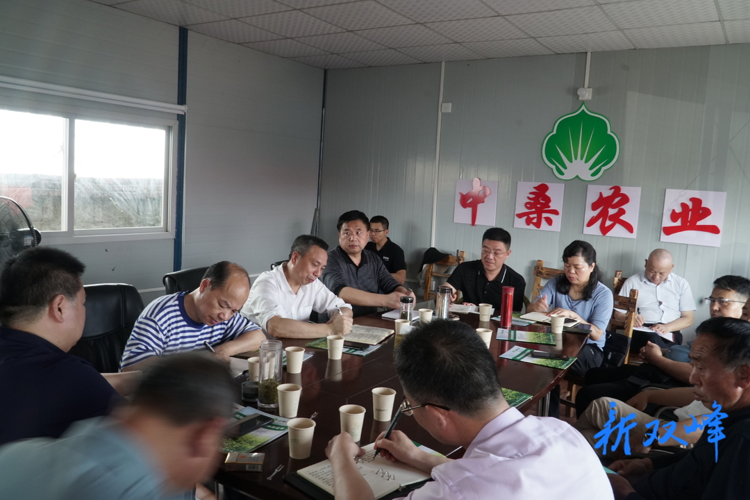 彭石清调研蛋白桑产业发展情况