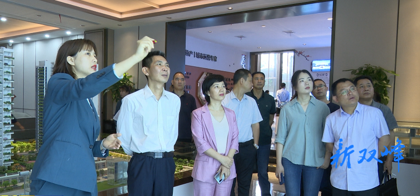 副县长彭石平陪同调研.