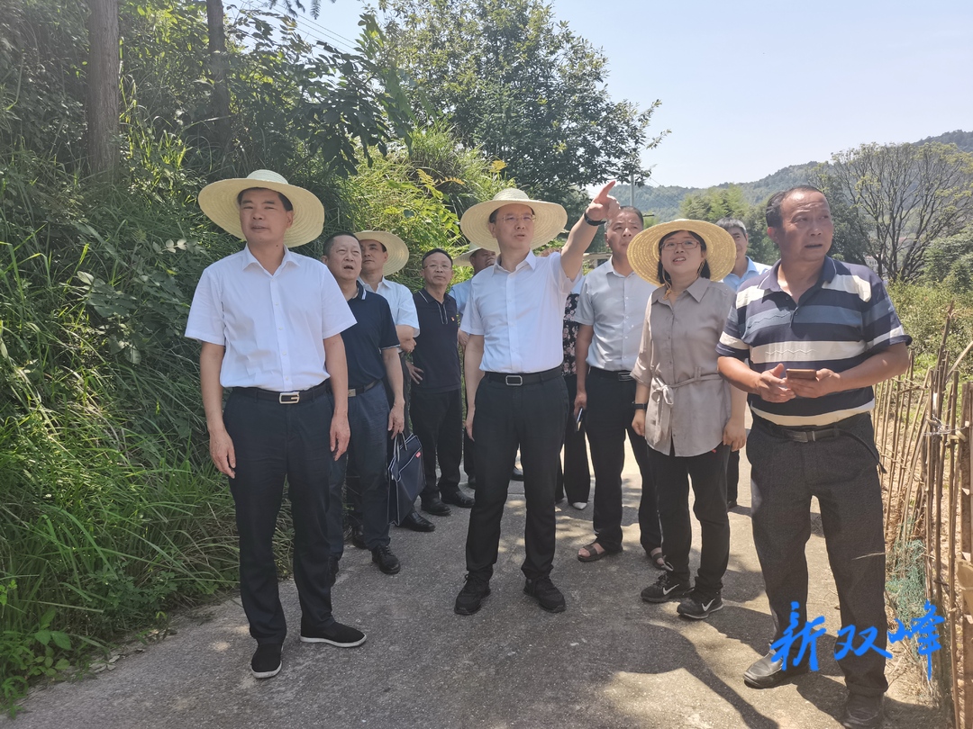 省政府发展研究中心到荷叶镇开展“学史力行，我为群众办实事”实践活动
