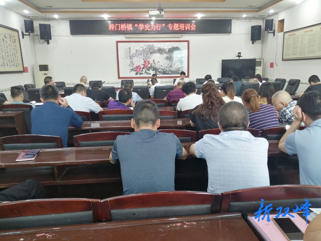 梓门桥镇开展“学史力行”专题学习讨论