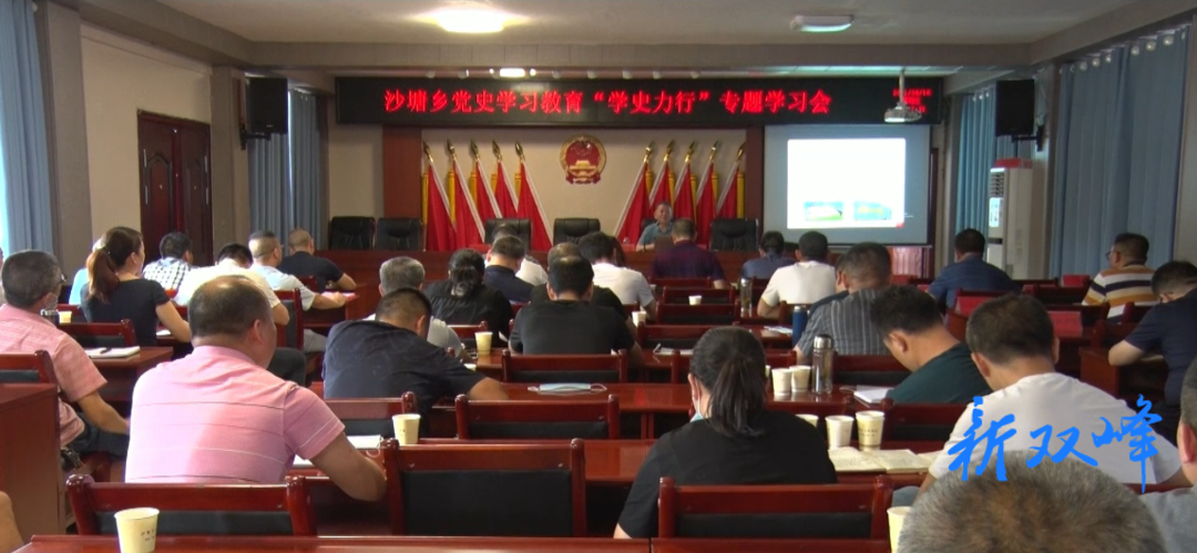 沙塘乡开展党史学习教育“学史力行”专题学习