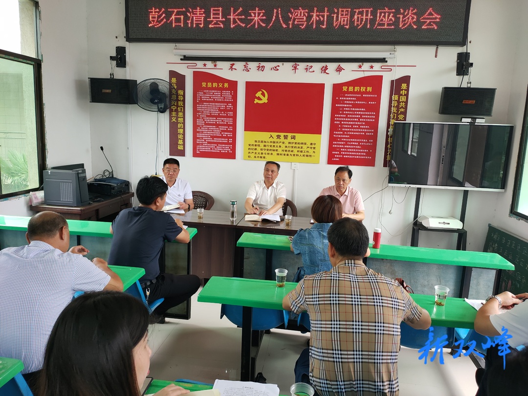 彭石清到三塘铺镇调研乡村振兴工作