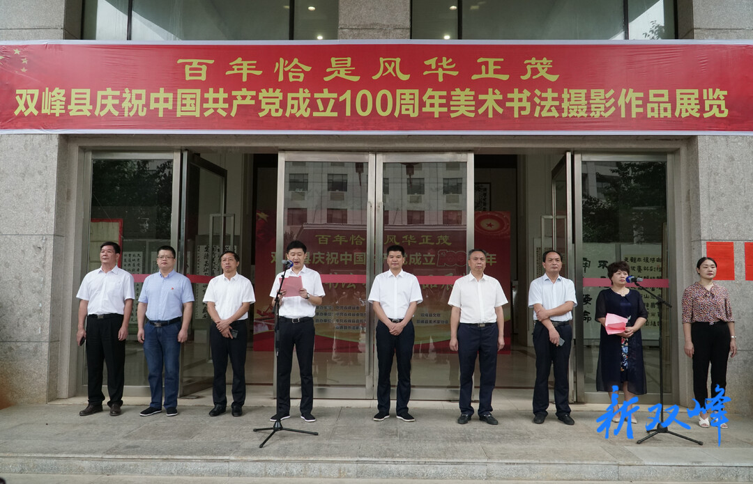 双峰县庆祝建党100周年美术书法摄影展开幕 禹敏 彭石清等出席