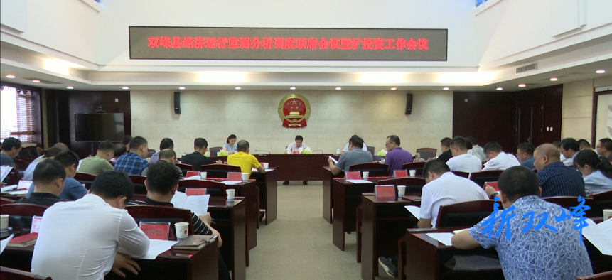 经济运行监测分析调度联席会议暨扩投资工作会议召开 罗灿出席