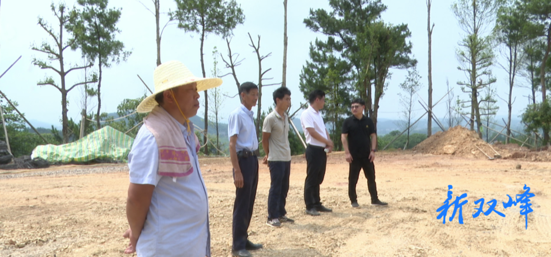 全国首家乡村美术馆在印塘乡正式开工建设