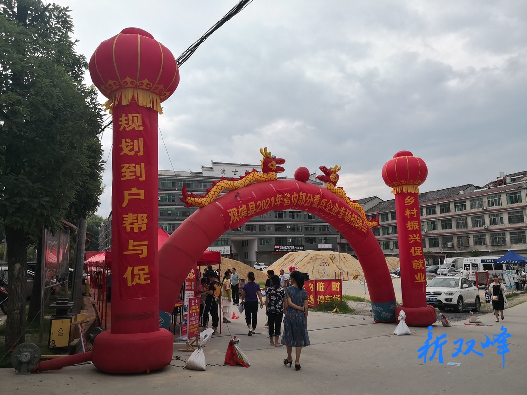 荷叶镇举行“促进转移就业 助力企业发展”专场招聘会