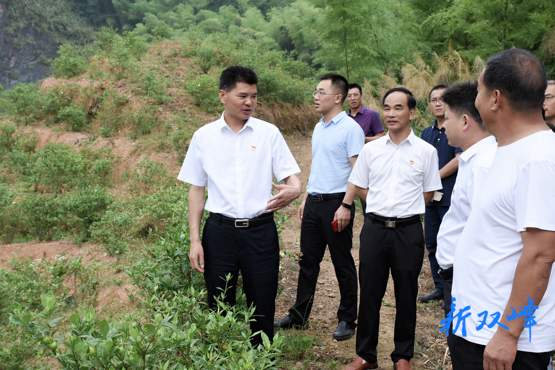 禹敏到沙塘乡调研乡村振兴工作
