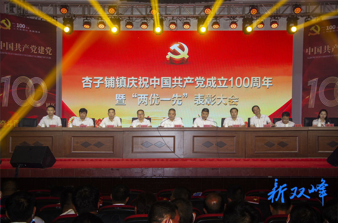 庆祝中国共产党成立100周年：杏子铺镇