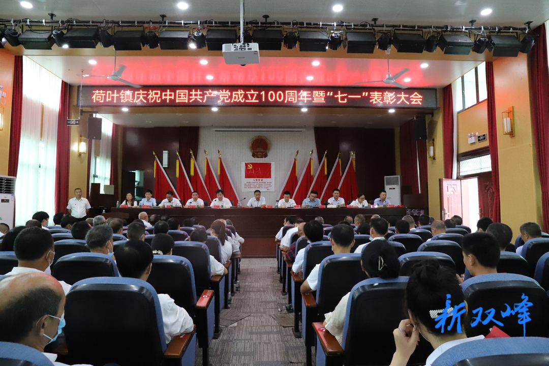 庆祝中国共产党成立100周年：荷叶镇