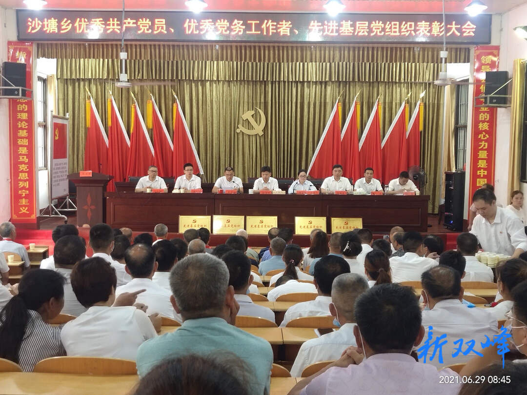 庆祝中国共产党成立100周年：沙塘乡
