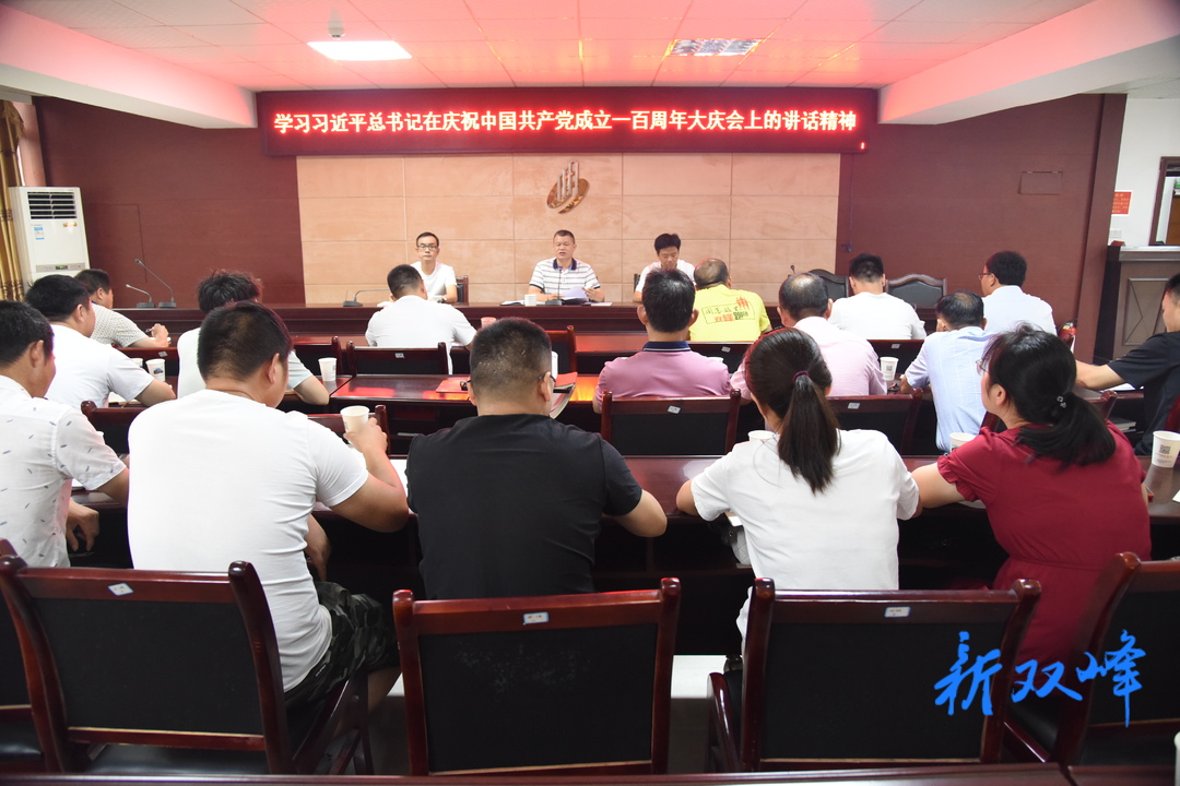 双峰城投集团学习贯彻习近平总书记在庆祝中国共产党成立100周年大会上的重要讲话精神