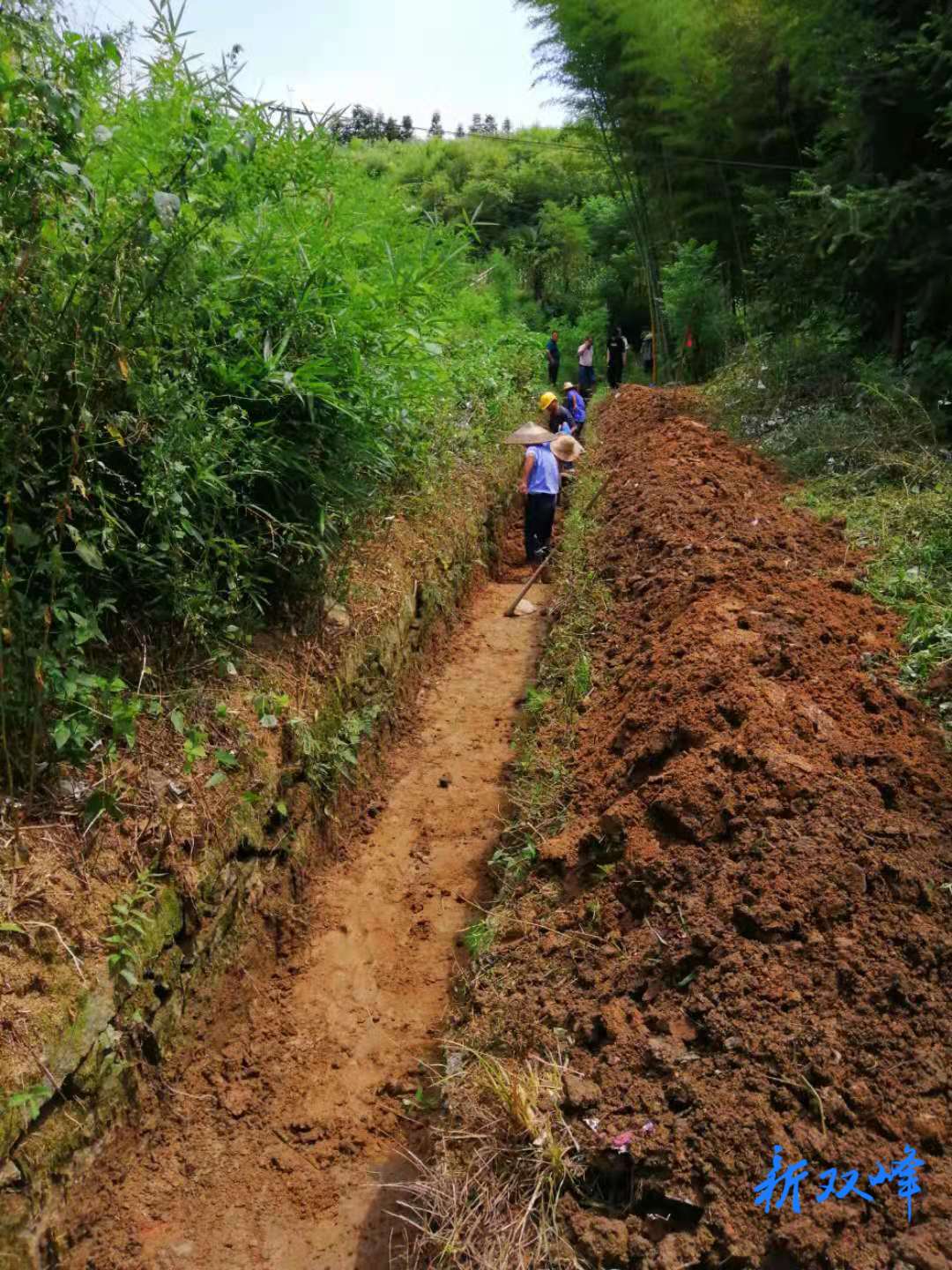 防旱抗旱：荷叶镇