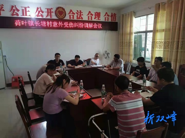 荷叶镇司法所调解一起人身损害赔偿纠纷