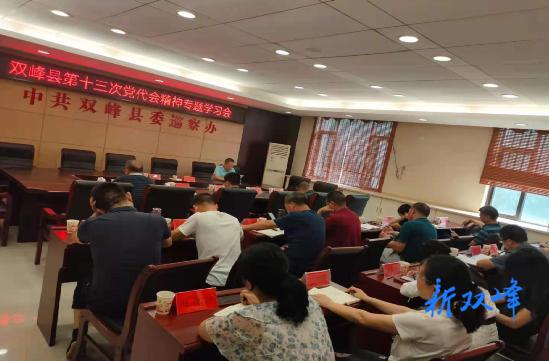 学习贯彻县第十三次党代会精神：双峰县委巡察办组