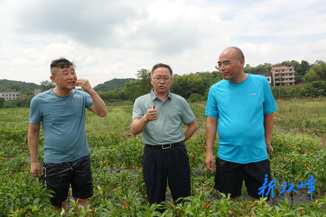 锁石镇：用情用实帮扶，农村天地大有可为