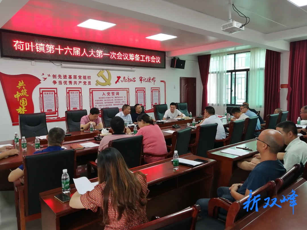 荷叶镇有序推进县乡两级人大换届选举工作