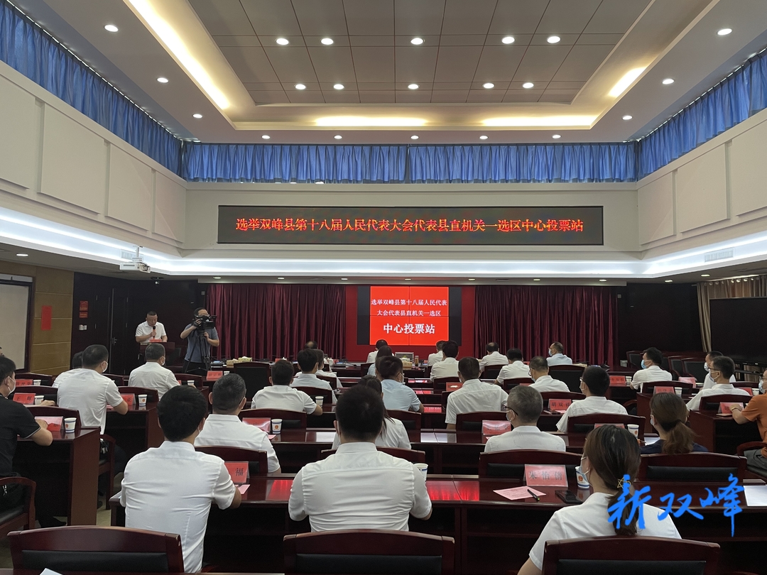 彭石清、李基联、付凯军、朱常健、阳雄绪、段平屏、王德文以普通选民身份参加人大代表选举投票