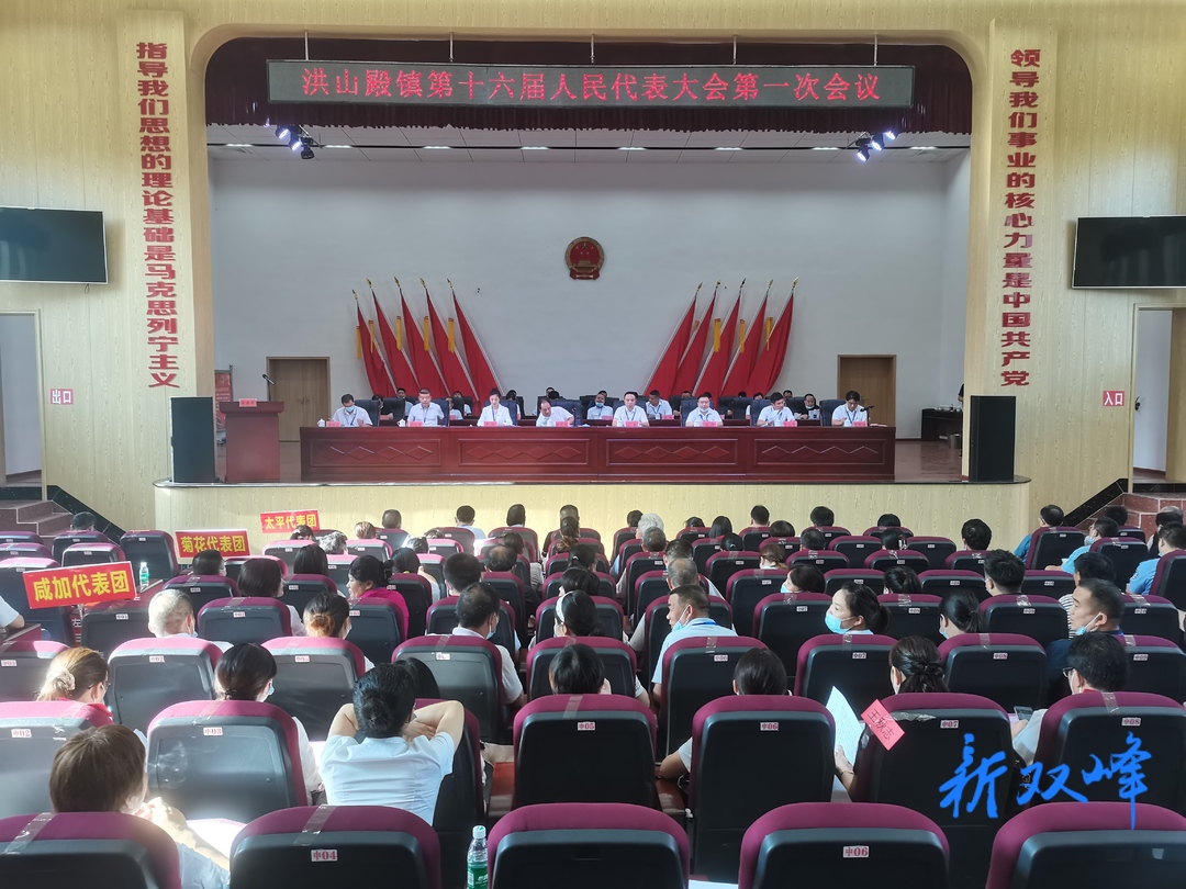 洪山殿镇十六届人大一次会议召开
