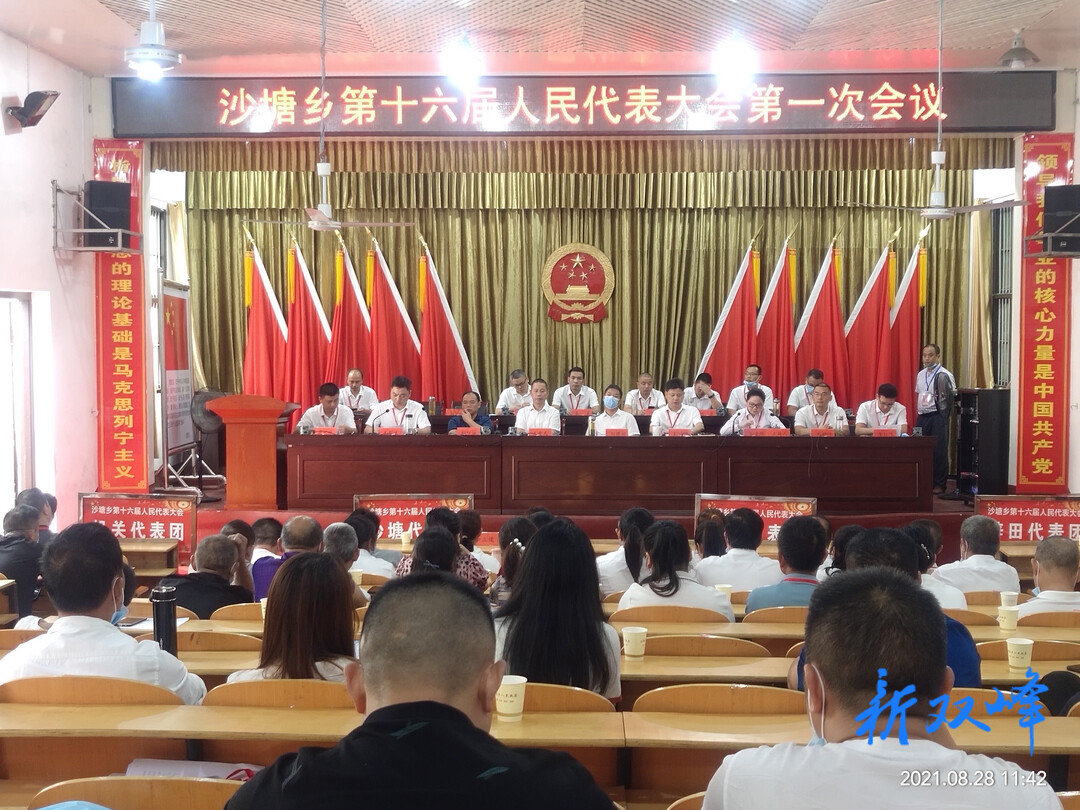 沙塘乡十六届人大一次会议召开