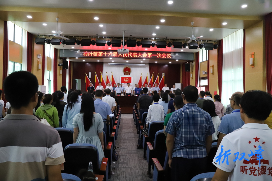 荷叶镇十六届人大一次会议召开