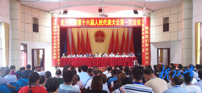 走马街镇十六届人大一次会议召开