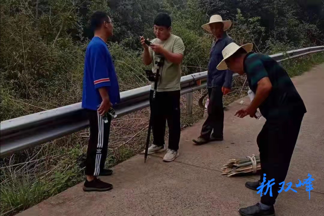 杏子铺镇：高温下最美丽的风景线
