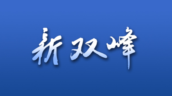 双峰县关于发布惩戒非法滞留缅北人员、电诈逃犯的通告（第一批）