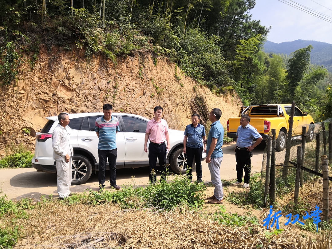 双峰纪检电力联手为梅龙山乡村振兴添动力
