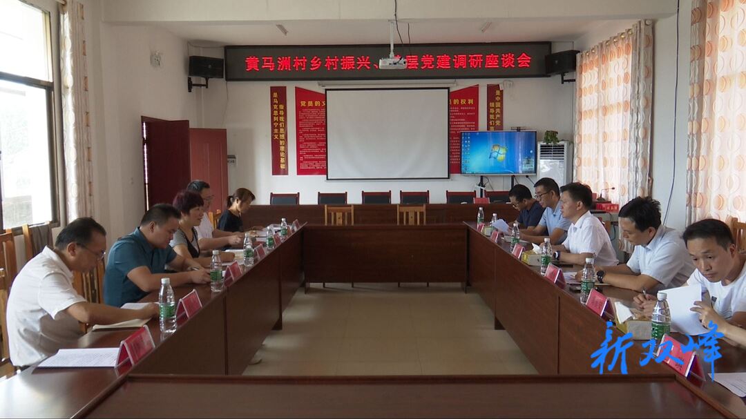 李双红到梓门桥镇黄马洲村调研乡村振兴工作