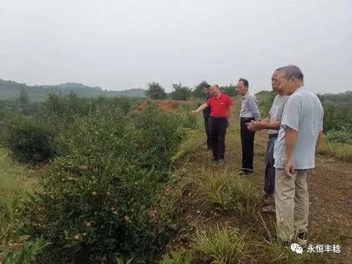 永丰街道：党员干部显身手 为民服务办实事