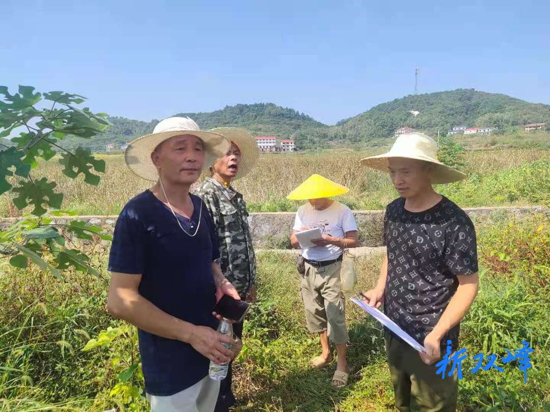 杏子铺镇：乡村干部的坚守