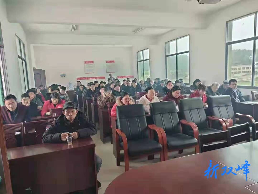 花门镇大石玉村传达学习市第六次党代会精神