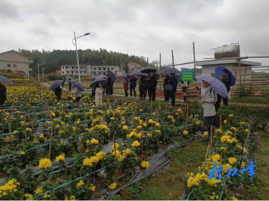 市移民致富带头人培训班学员来双峰考察调研移民产业