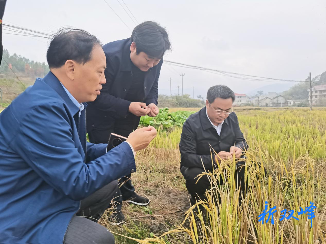 李基联到三塘铺镇八湾村调研乡村振兴工作：大力发展特色产业 促进农业增效 农民增收