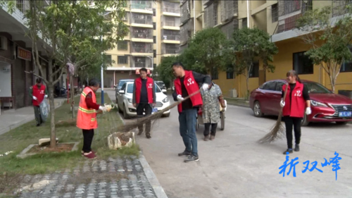 青树坪镇：市容环境整治志愿者在行动