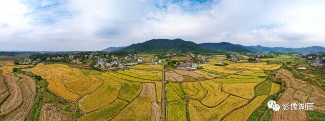 双峰县锁石镇：花开幸福来