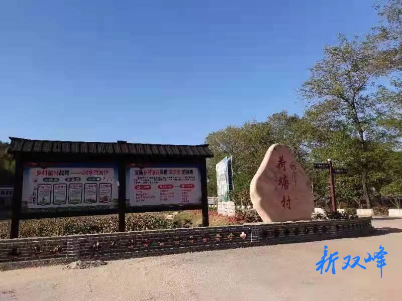荷叶镇荷塘村美丽乡村建设卓有成效