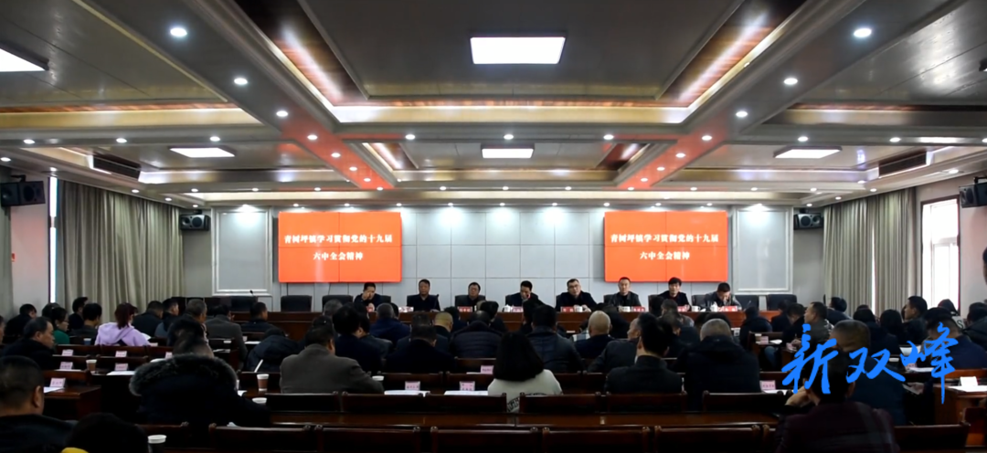青树坪镇学习贯彻党的十九届六中全会精神