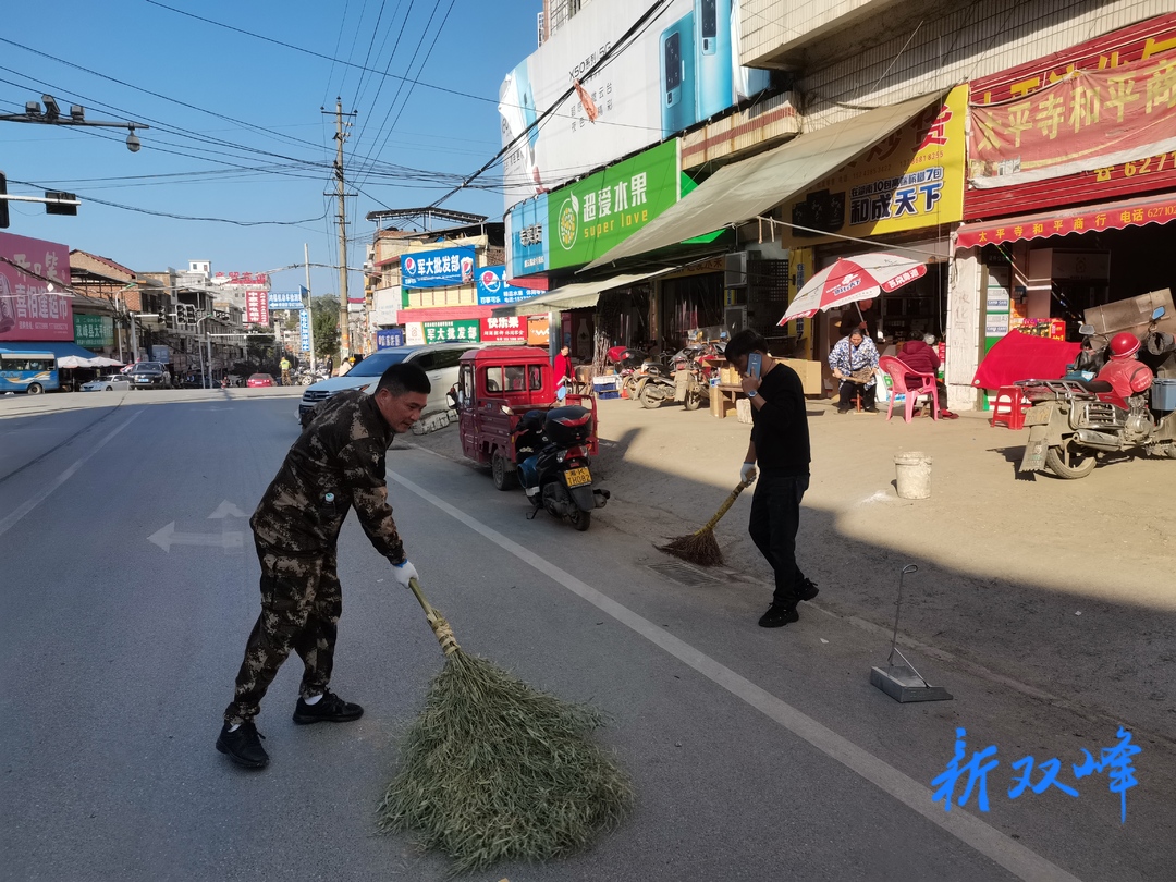 洪山殿镇：环境大扫除 政协委员在行动