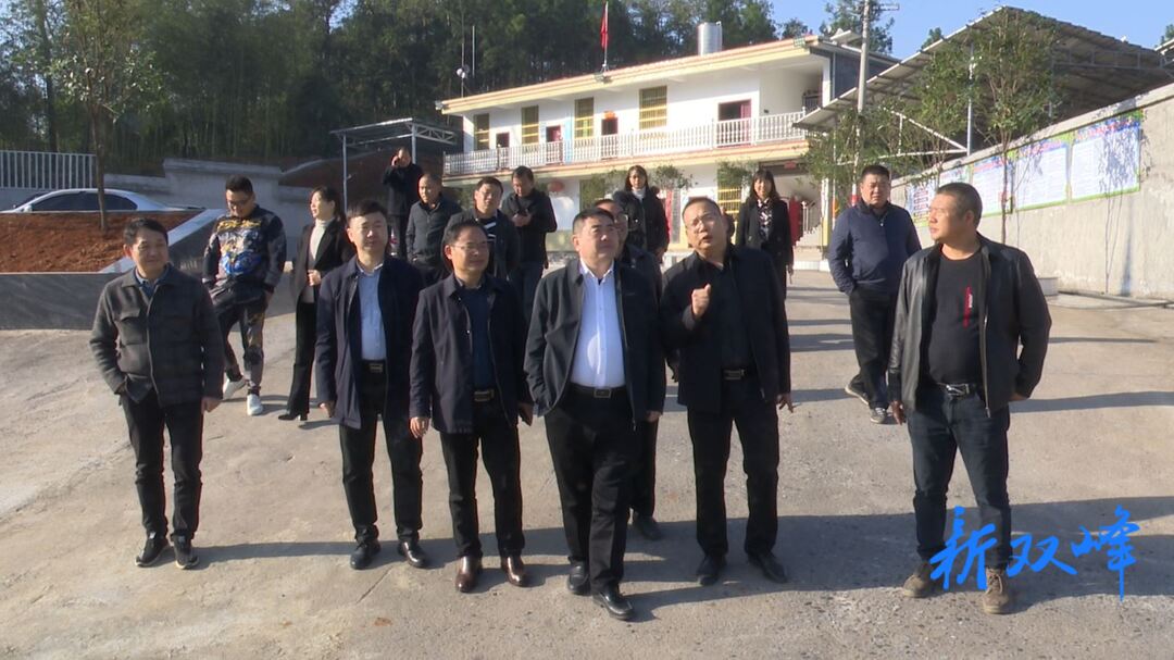 王德文到锁石镇金紫峰村调研乡村振兴工作