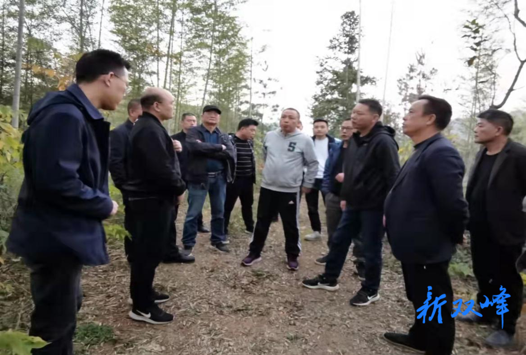 彭石平到永丰街道调研竹产业发展工作