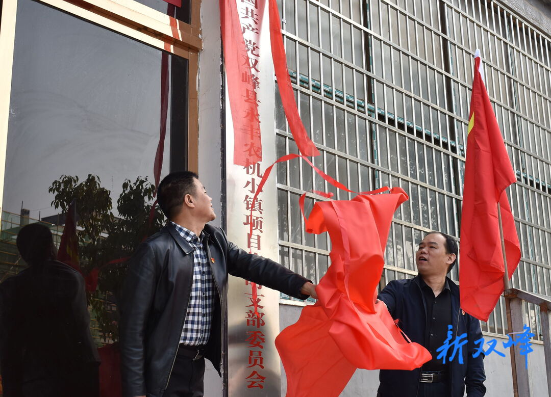让党旗在项目一线飘扬——双峰县永丰农机小镇项目临时党支部正式成立