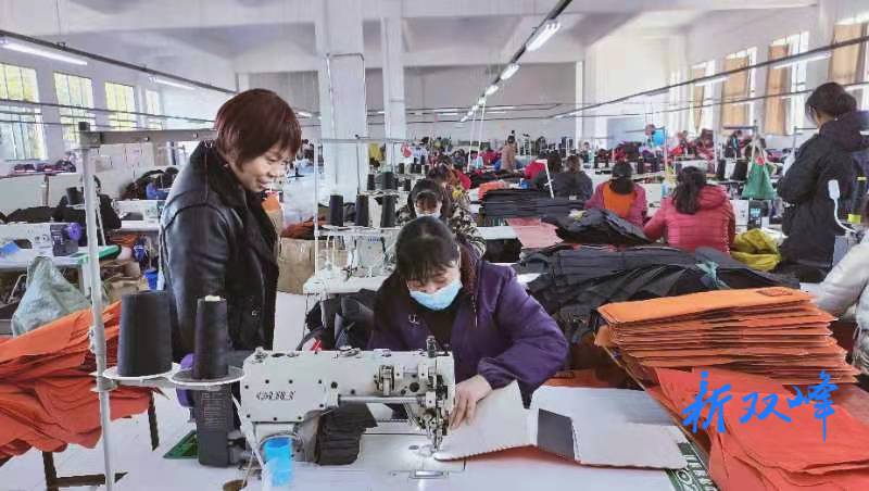 巾帼英雄向凤英 回乡创业富村民