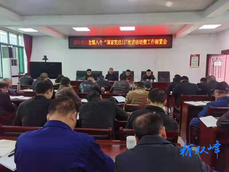 荷叶镇大力开展宪法宣传活动