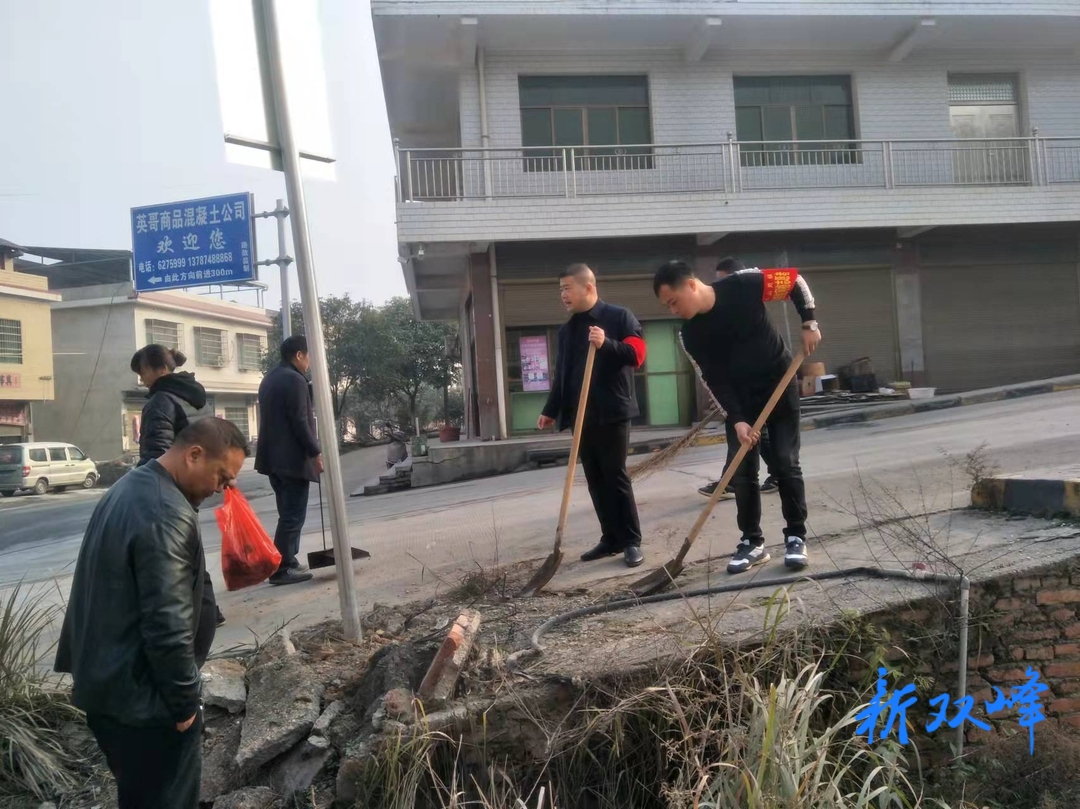 农村环境焕新颜：洪山殿镇菊花村开展党员志愿服务活动