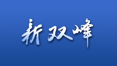 湖南省第十二届“湘博会”在双峰隆重开幕