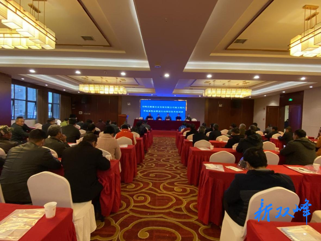 省专家来双传经送宝：双峰县召开草食动物健康养殖技术培训会