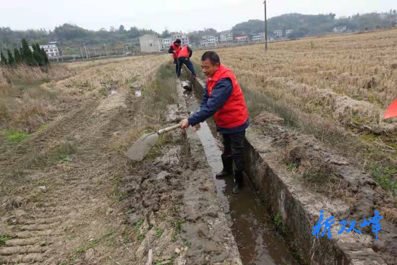 我是党员  乡村振兴我带头 ——种粮大户聂昔应的种田“诀窍”