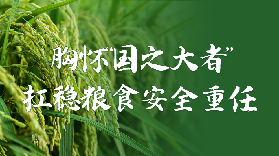 胸怀“国之大者” 扛稳粮食安全重任
